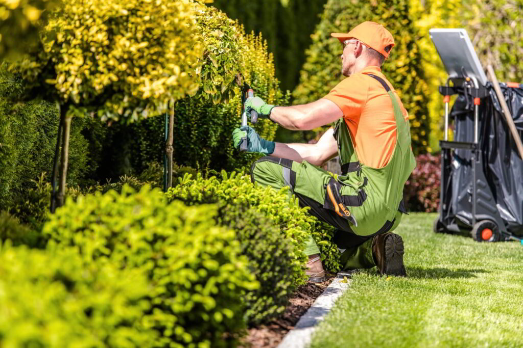 Landscaping Company in Slidell Camellia Creek Landscape