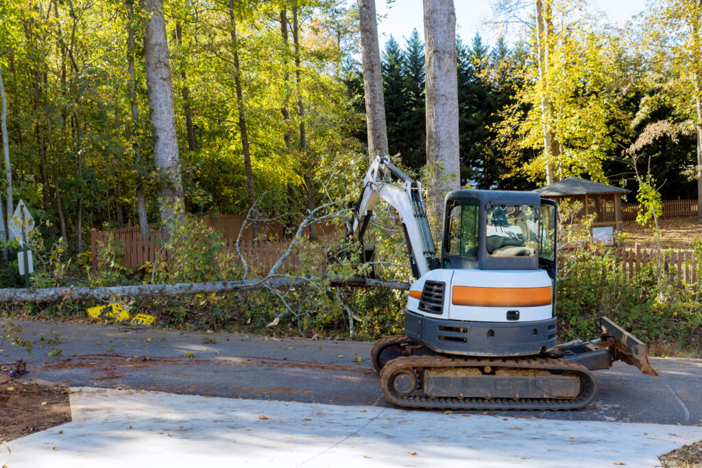 Slidell Tree Service clearing tree debris