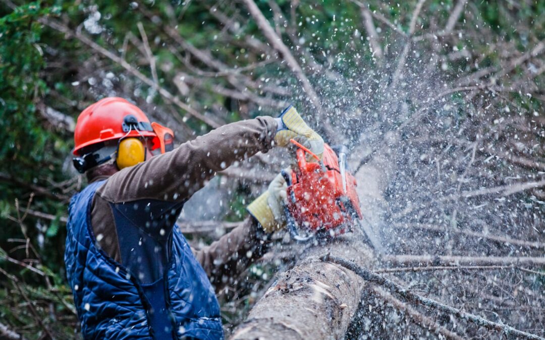 Slidell Tree Service