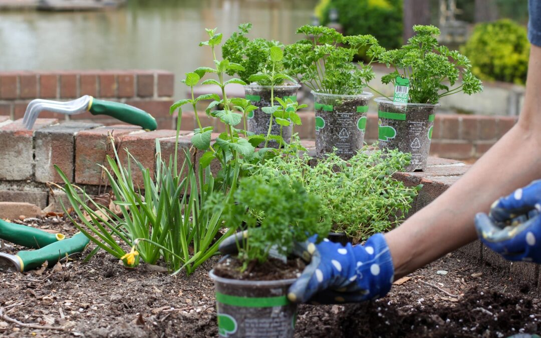 What to Grow in the Springtime for Slidell