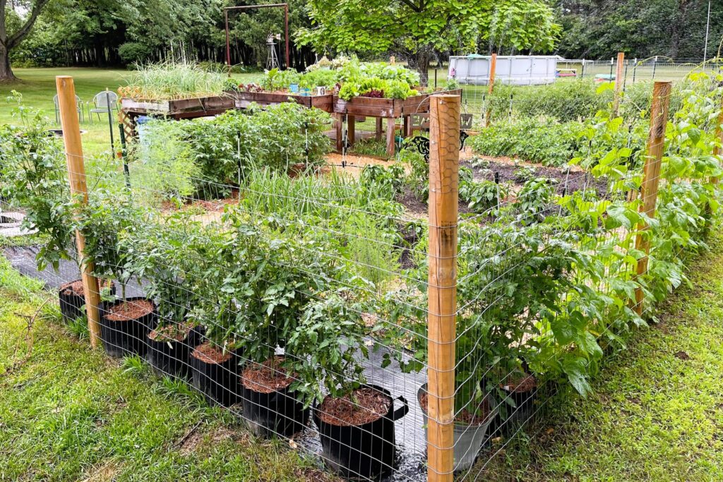 A vegetable garden in Slidell